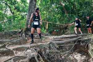 BIB: 
                            <button type="button" onclick="openModal(27720048)" class="btn btn-primary btn-sm float-right btn-popup" data-toggle="modal" data-target=".modal-high-quality">
                        <i class="fas fa-shopping-cart"></i> Add to Cart
                    </button>
                                            <button type="button" onclick="isThisMe(27720048, true)" class="btn btn-success btn-sm float-right btn-popup btn-isme hidden" data-toggle="tooltip" data-placement="bottom" title="นี่คือรูปของคุณใช่ไหม คลิกที่นี่เพื่อเอาเข้าอัลบั้ม">
                        <i class="fas fa-plus"></i> Add to album
                    </button>
                    <button type="button" onclick="isThisMe(27720048, false)" class="btn btn-warning btn-sm float-right btn-popup btn-isnotme hidden">
                        <i class="fas fa-ban"></i> Remove from album
                    </button>